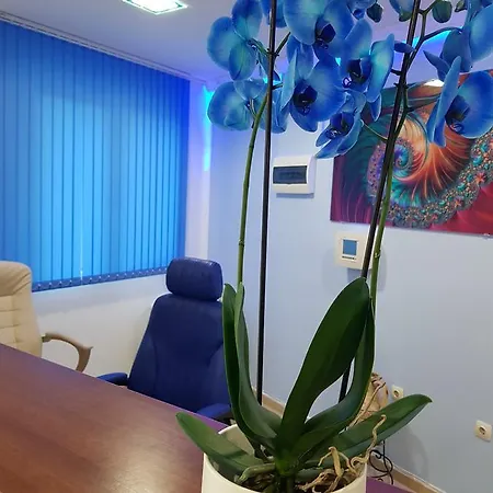 Rehabilitation Centre 